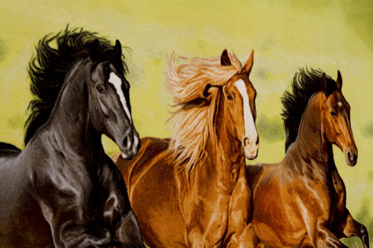 Handwoven Silk Carpet Tableau - Majestic Freedom